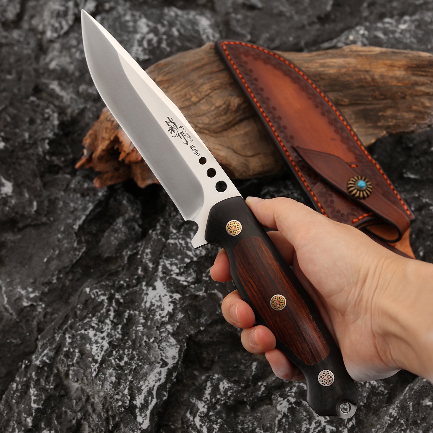 Fixed Blade Knife M390 Steel 5" Convex Edge Grind