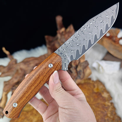 5" Full Tang Hunter in Damascus Steel with Ironwood