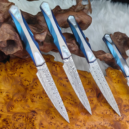 Custom Kitchen Utility Knife in Damasteel, Mother-of-pearl Inlaid in Titanium Handle