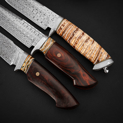 Hunting Custom Knife in Damasteel, Ironwood & Mammoth Tusks
