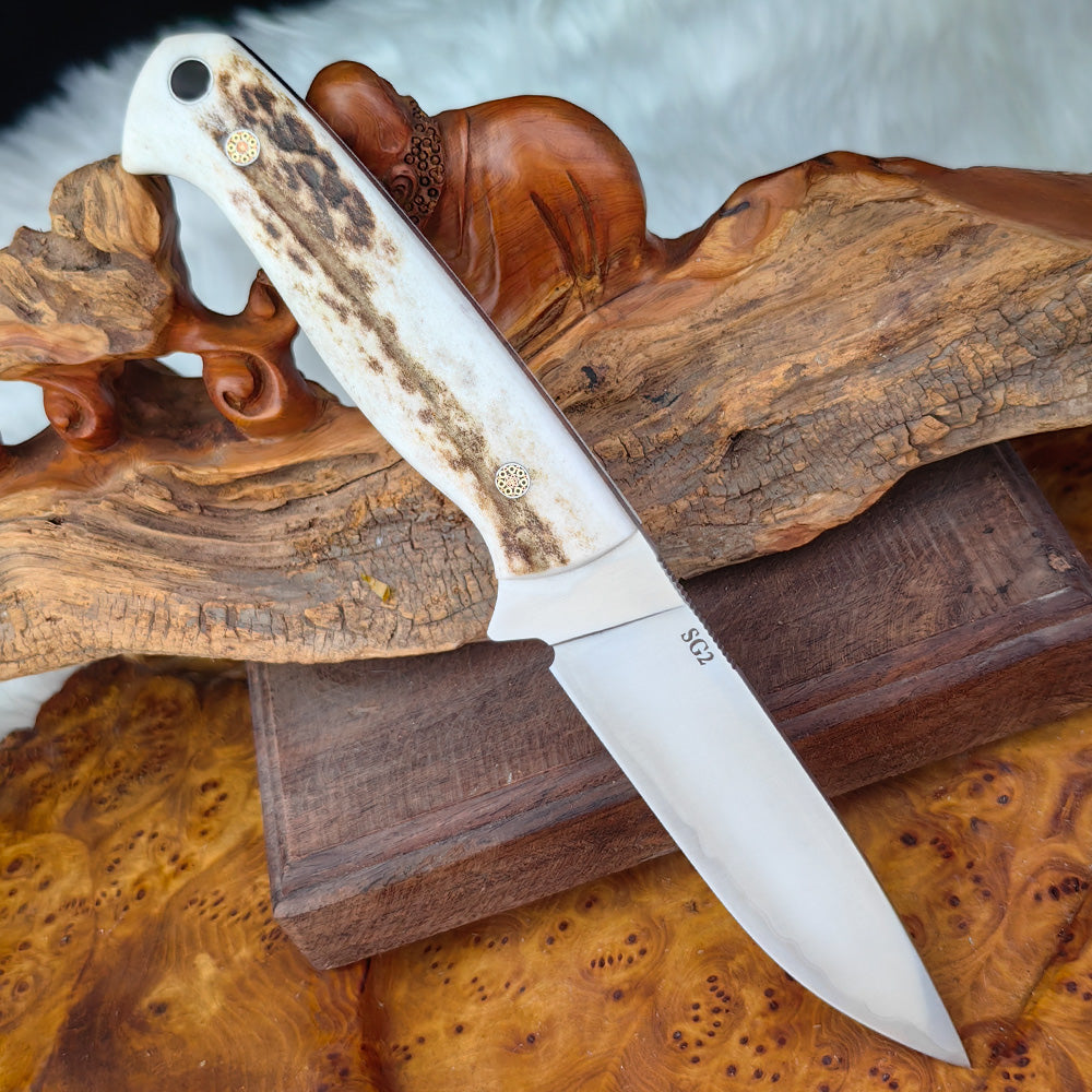 3.7" SG2 San-Mai Steel Fixed Blade Knife with Buckhorn