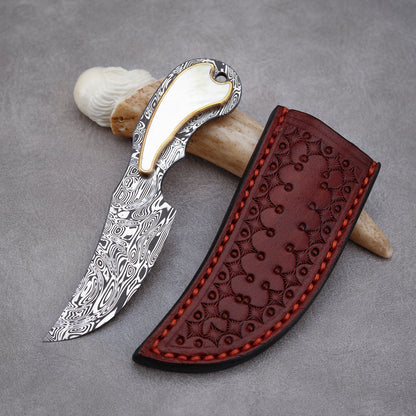 Custom Fixed Blade Knife in Damasteel