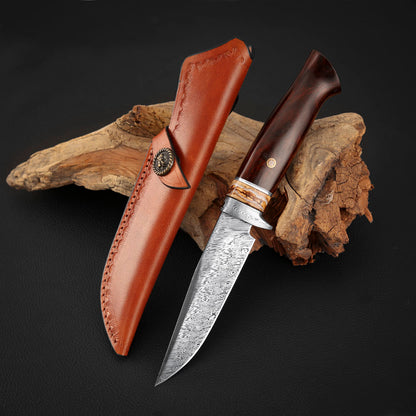 Hunting Custom Knife in Damasteel, Ironwood