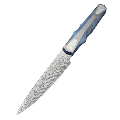 Custom Kitchen Chef Knife in Damasteel, Mother-of-pearl Inlaid in Titanium Handle