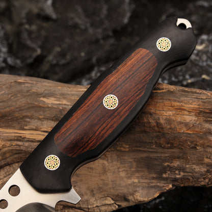 Fixed Blade Knife M390 Steel 5" Convex Edge Grind