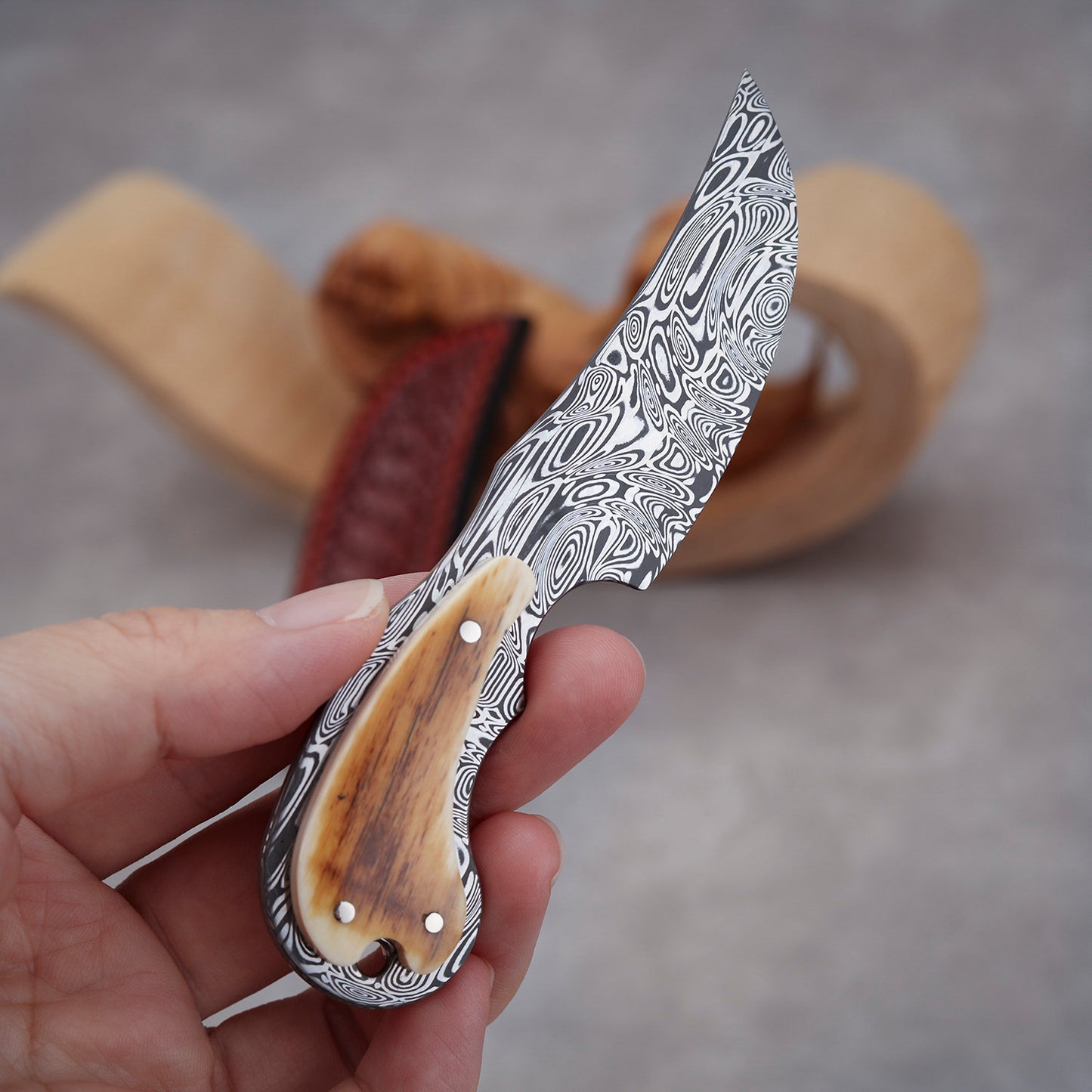 Custom Fixed Blade Knife in Damasteel