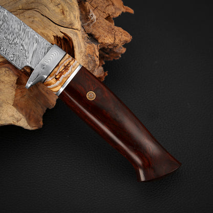 Hunting Custom Knife in Damasteel, Ironwood