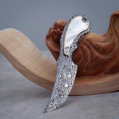 Custom Fixed Blade Knife in Damasteel