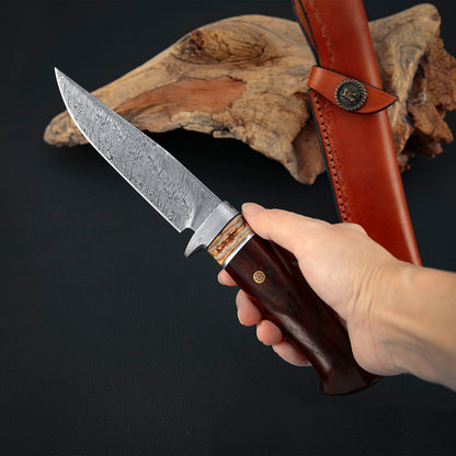 Hunting Custom Knife in Damasteel, Ironwood