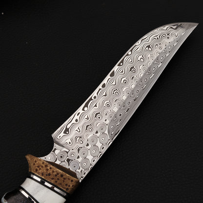 Mars Custom Fixed Blade Knife in Damasteel with Mammoth Tusks