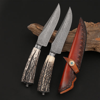 Custom Hunter in Feather Damascus with Buckhorn