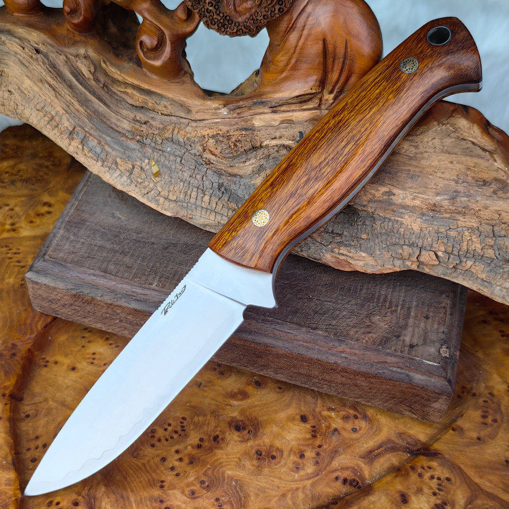 3.7" SG2 San-Mai Steel Fixed Blade Knife with Buckhorn