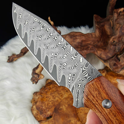 5" Full Tang Hunter in Damascus Steel with Ironwood