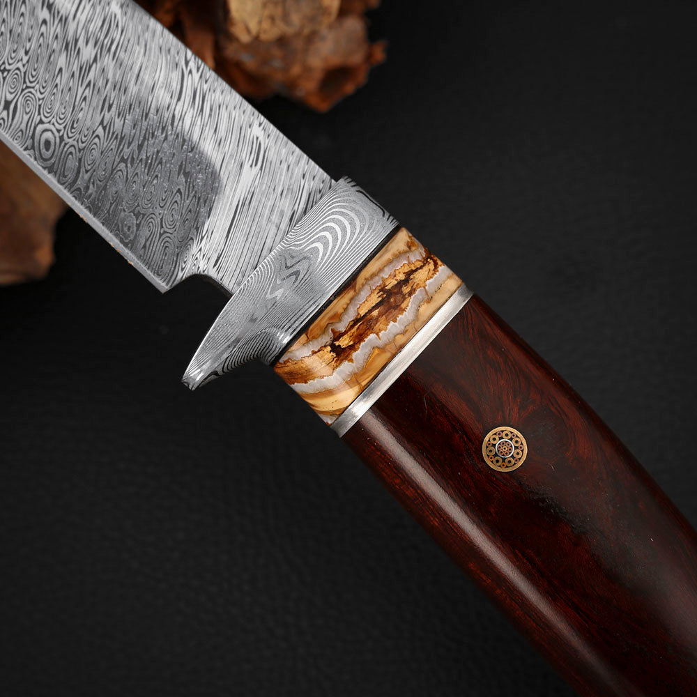 Hunting Custom Knife in Damasteel, Ironwood