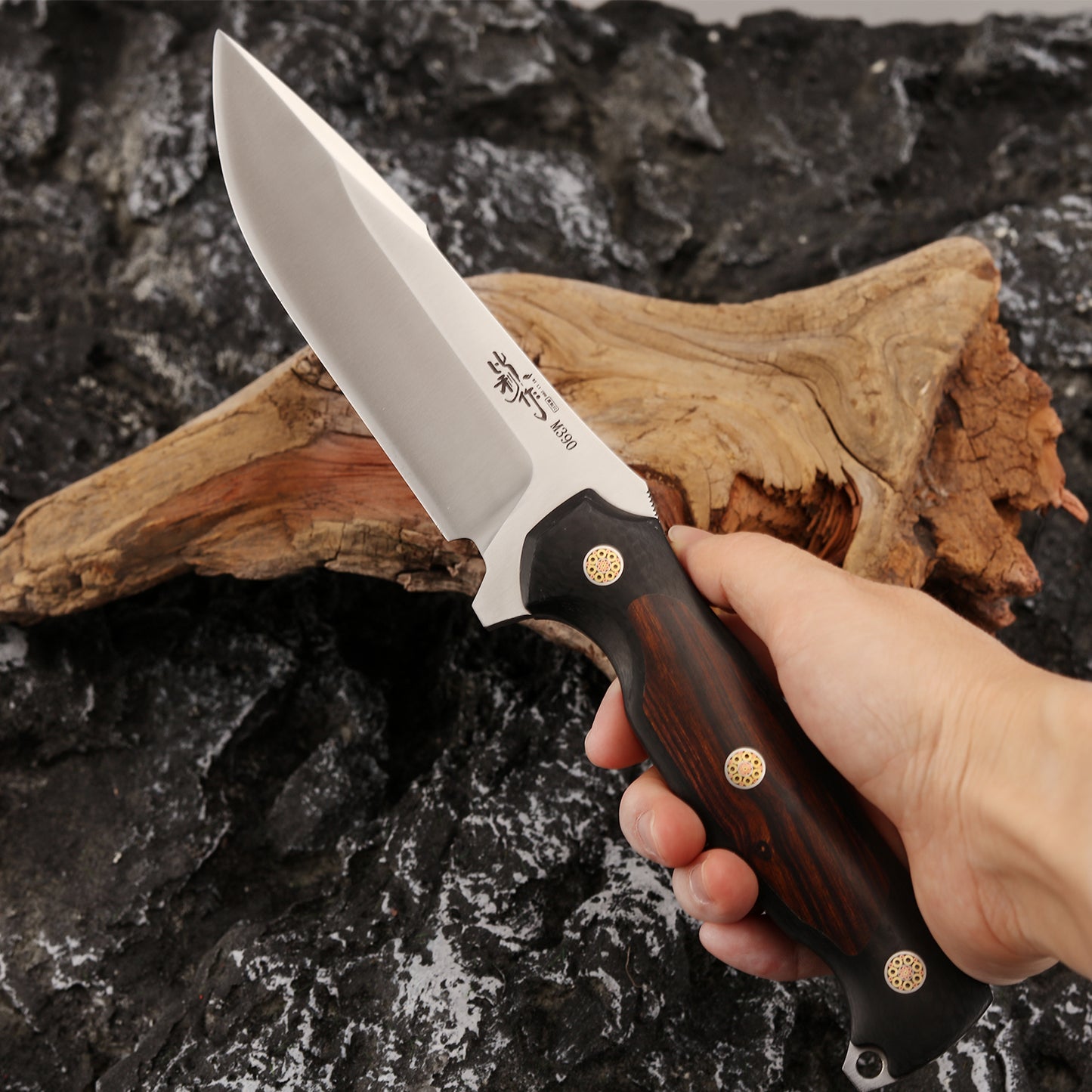 Fixed Blade Knife M390 Steel 5" Convex Edge Blade