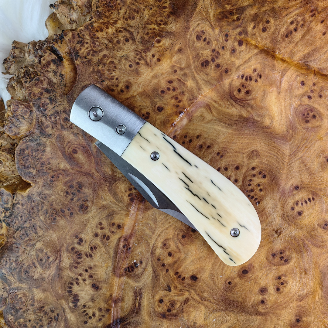 Slip Joint Pocket Knife in K890 with Mammoth Ivory